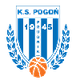 普鲁德尼克logo
