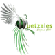 格查雷斯女篮logo
