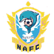 福建泉州南安女足logo